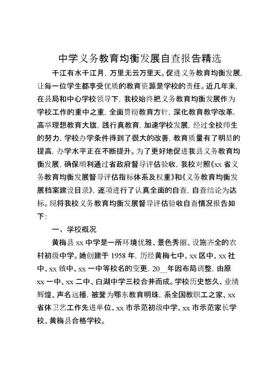 中学义务教育均衡发展自查报告精选