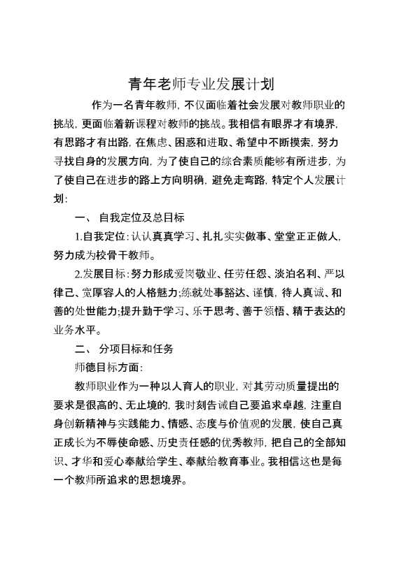 青年老师专业发展计划