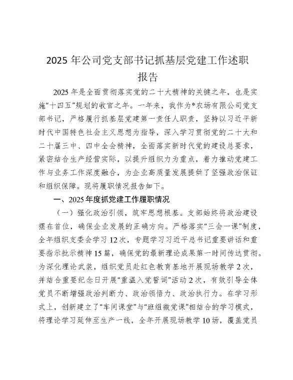 2025年公司党支部书记抓党建工作述职报告