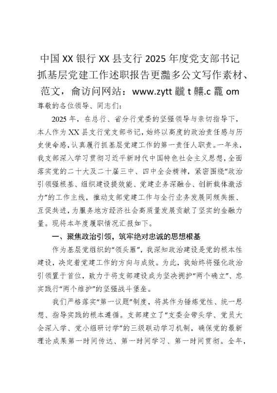 中国某某银行某某县支行2025年度党支部书记抓基层党建工作述职报告