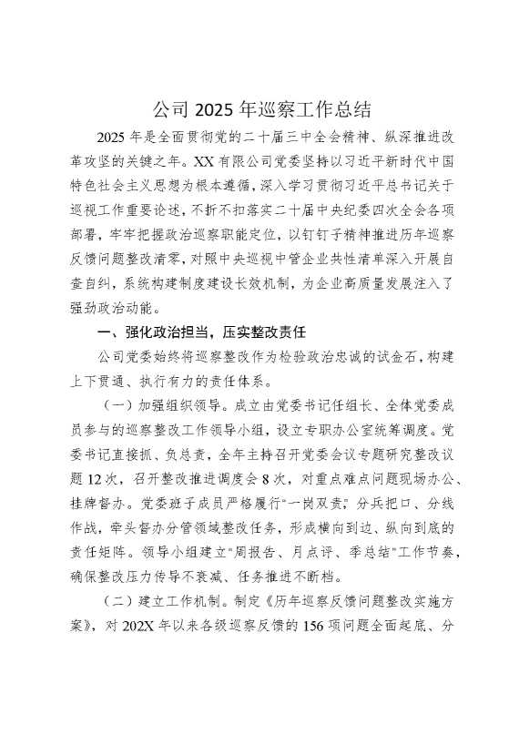 公司2025年巡察工作总结