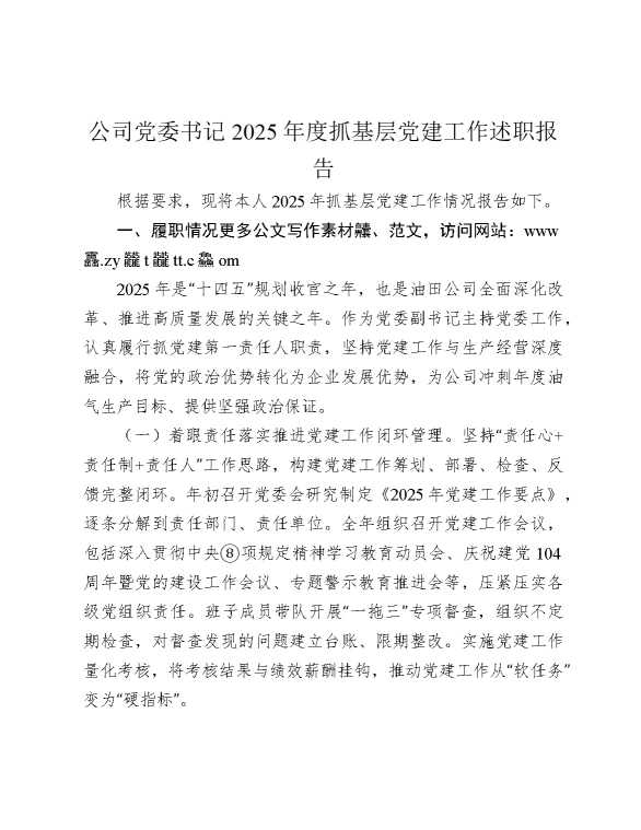 公司党委书记2025年度抓党建工作述职报告