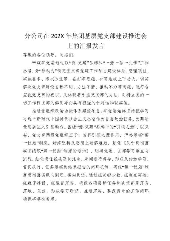 分公司在2025年集团基层党支部建设推进会上的汇报发言