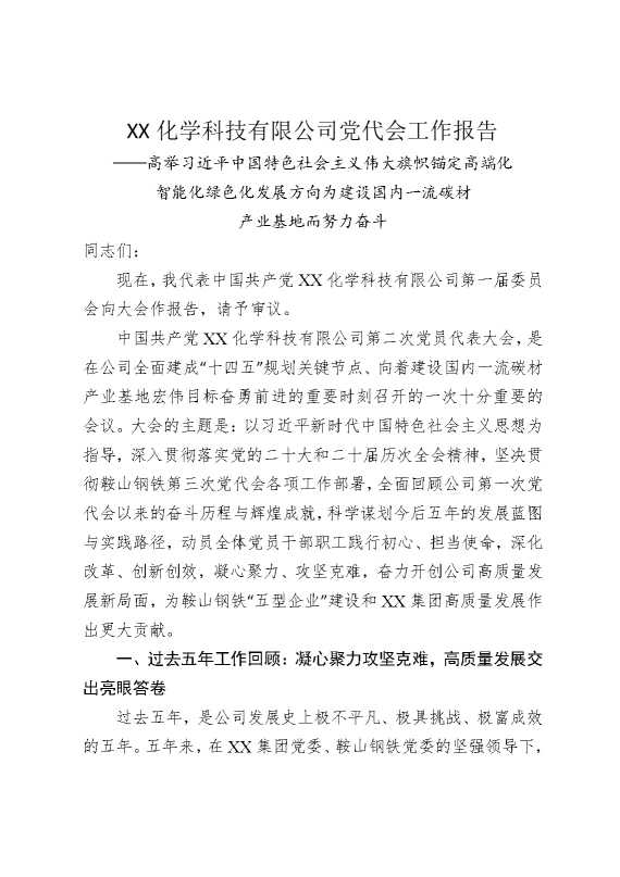 某某化学科技有限公司党代会工作报告