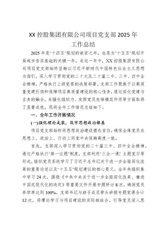 某某控股集团有限公司项目党支部2025年工作总结