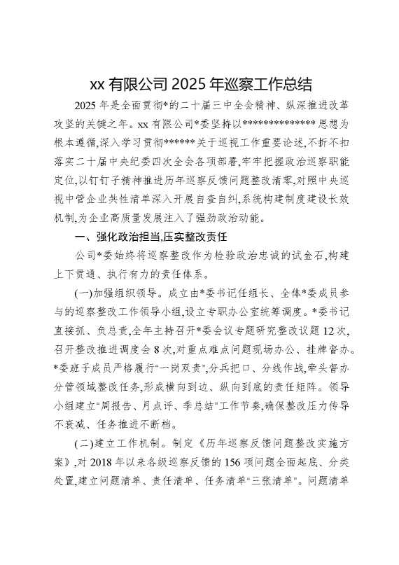 某某有限公司2025年巡察工作总结