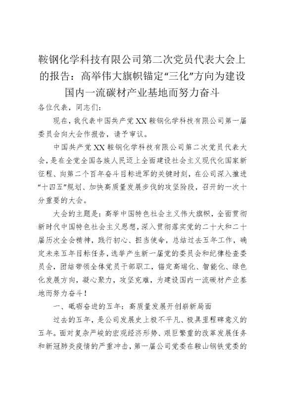 某某有限公司第二次党员代表大会上的报告