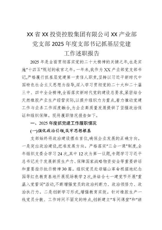某某省某某投资控股集团有限公司某某产业部党支部2025年度支部书记抓基层党建工作述职报告