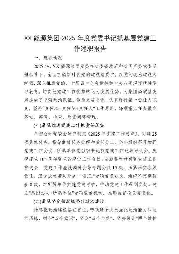 某某能源集团2025年度党委书记抓基层党建工作述职报告
