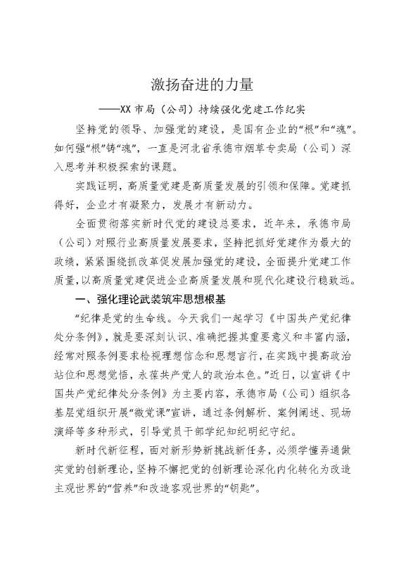 激扬奋进的力量——某某市局（公司）持续强化党建工作纪实