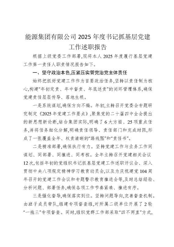 能源集团有限公司2025年度书记抓基层党建工作述职报告