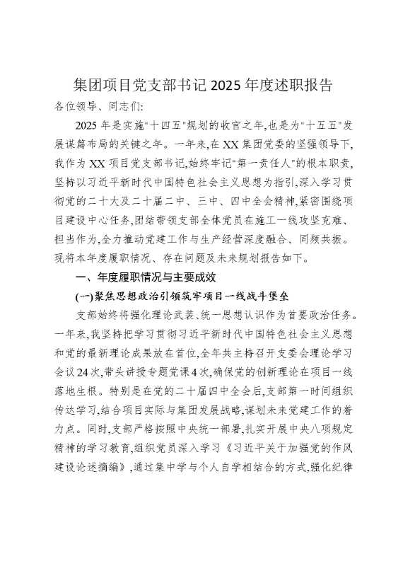 集团项目党支部书记2025年度述职报告