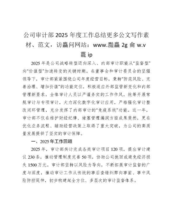 公司审计部2025年度工作总结