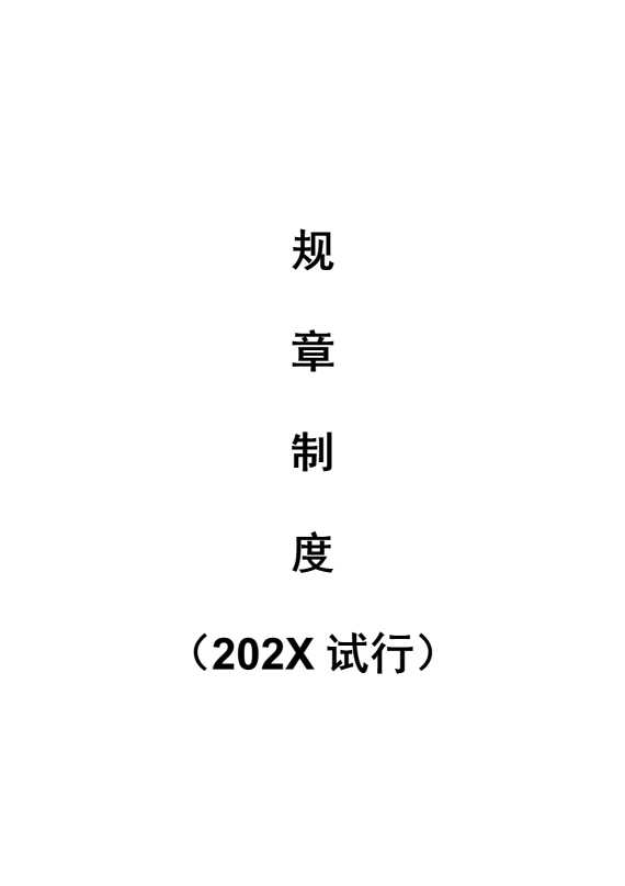 规章制度（2025试行）