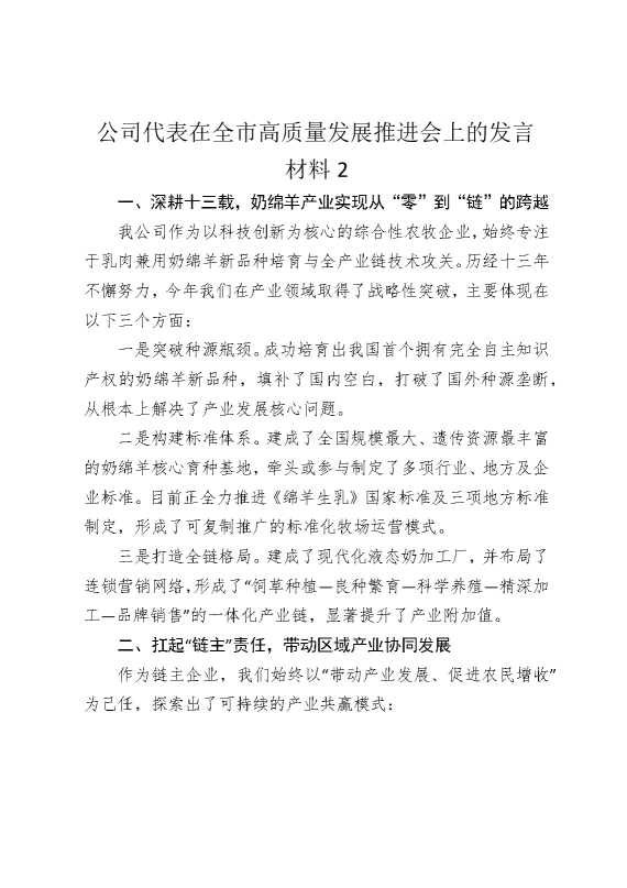 公司代表在全市高质量发展推进会上的发言材料2