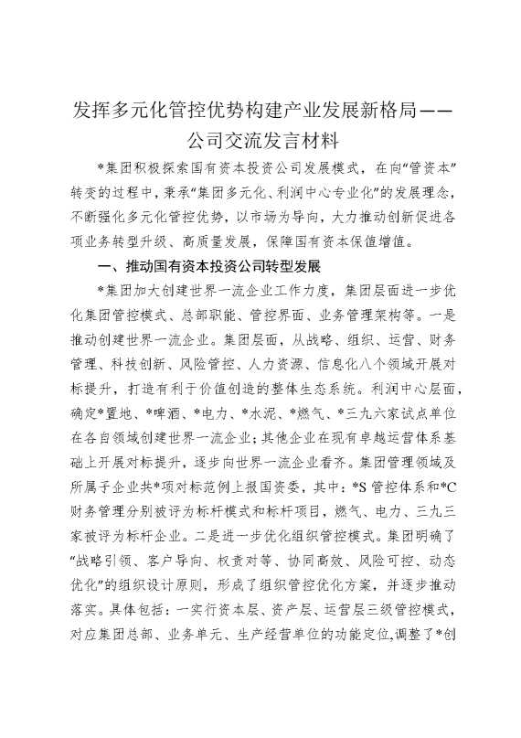 发挥多元化管控优势，构建产业发展新格局——公司交流发言材料