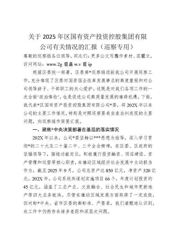 关于2025年区国有资产投资控股集团有限公司有关情况的汇报
