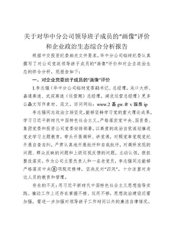 关于对华中分公司领导班子成员的“画像”评价和企业政治生态综合分析报告