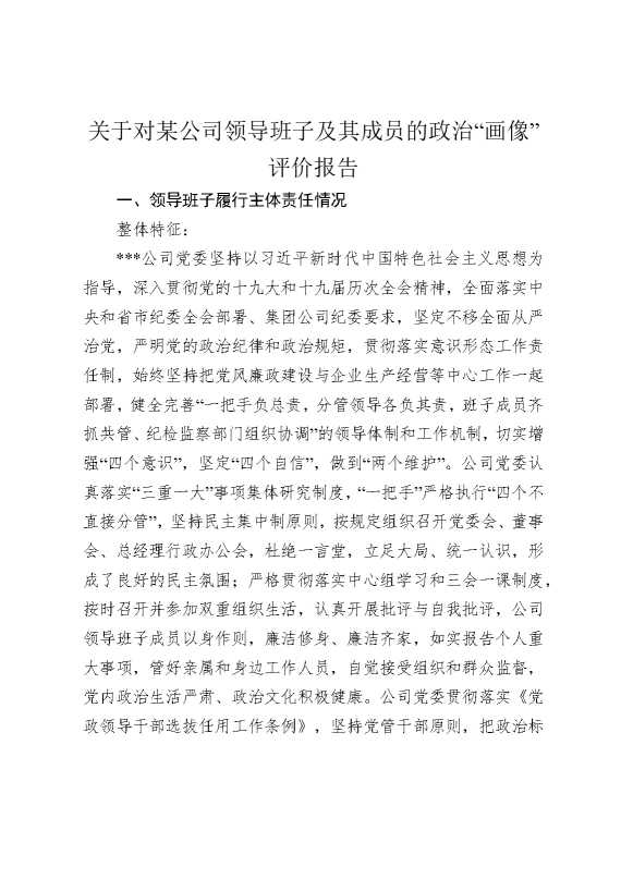 关于对某公司领导班子及其成员的“画像”评价报告
