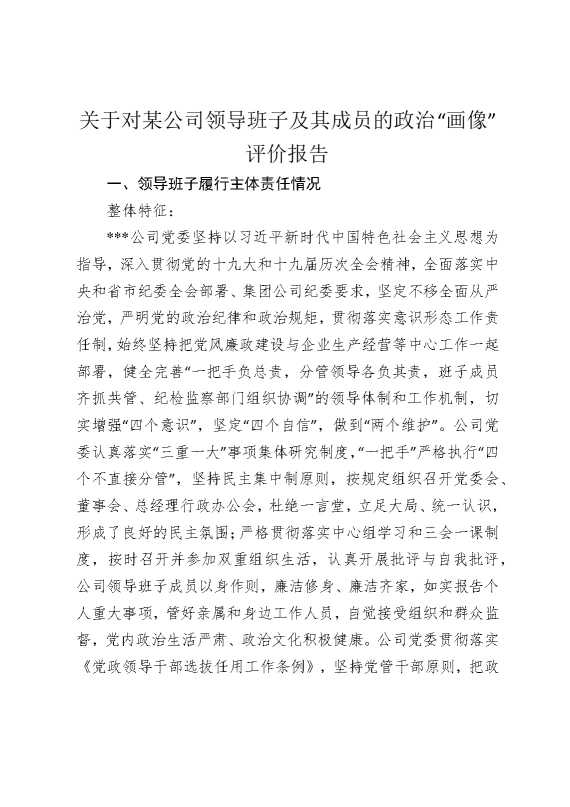 关于对某公司领导班子及其成员的政治“画像”评价报告