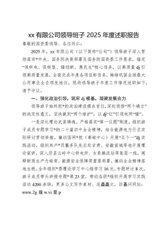 某某有限公司领导班子2025年度述职报告