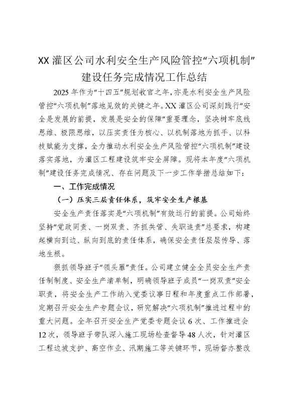 某某灌区公司水利安全生产风险管控“六项机制”建设任务完成情况工作总结