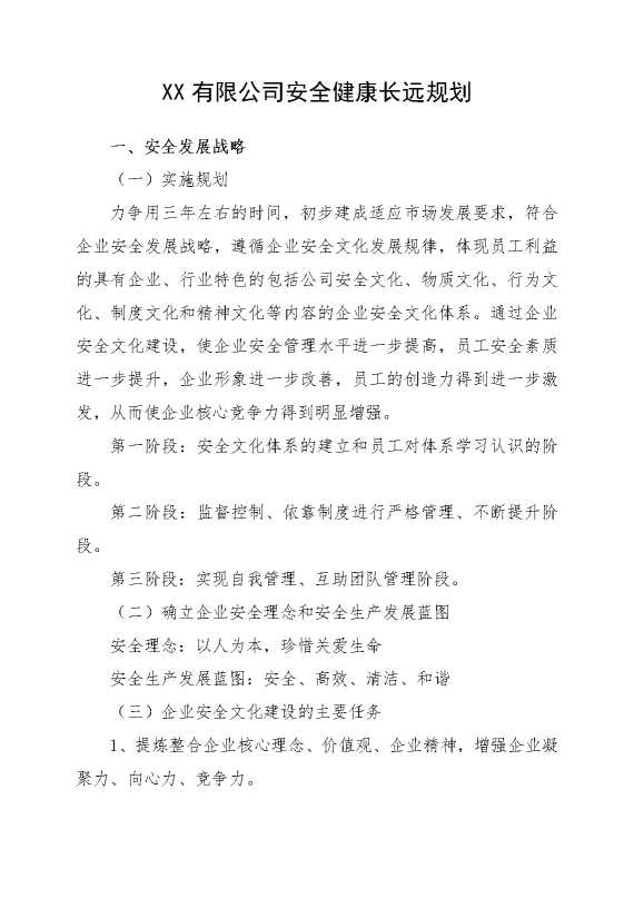 某某有限公司安全健康长远规划