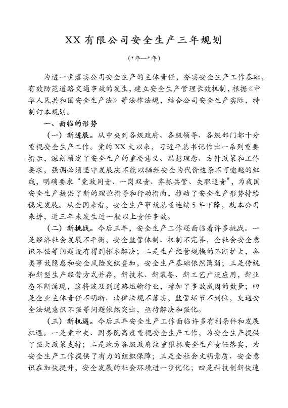 某某有限公司安全生产三年规划