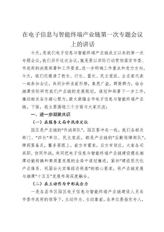 在电子信息与智能终端产业链第一次专题会议上的讲话