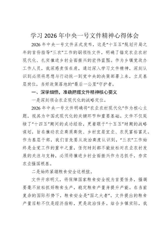 学习2026年中央一号文件精神心得体会