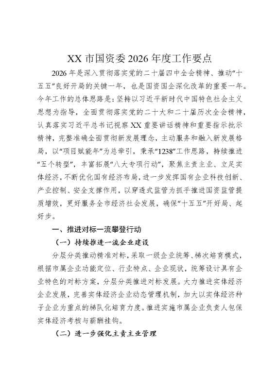 某某市国资委2026年度工作要点