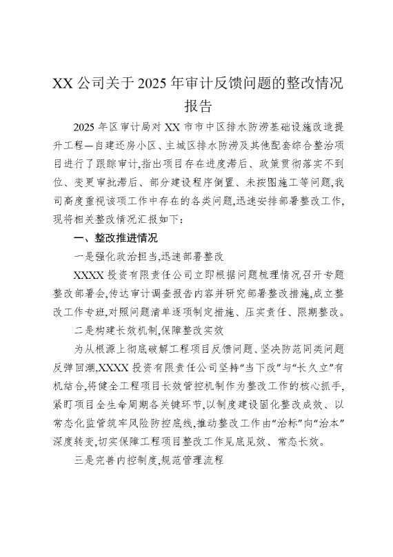 某某公司关于2025年审计反馈问题的整改情况报告