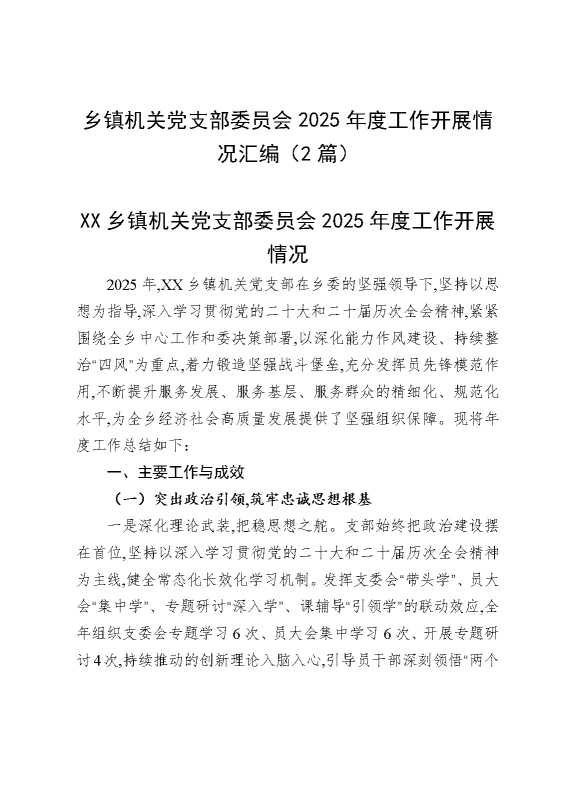 乡镇机关党支部委员会2025年度工作开展情况汇编（2篇）
