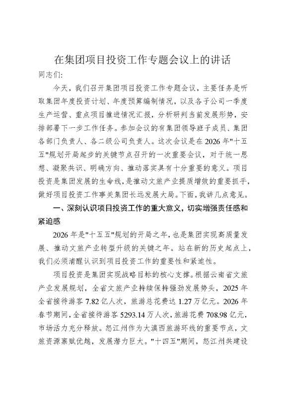在集团项目投资工作专题会议上的讲话