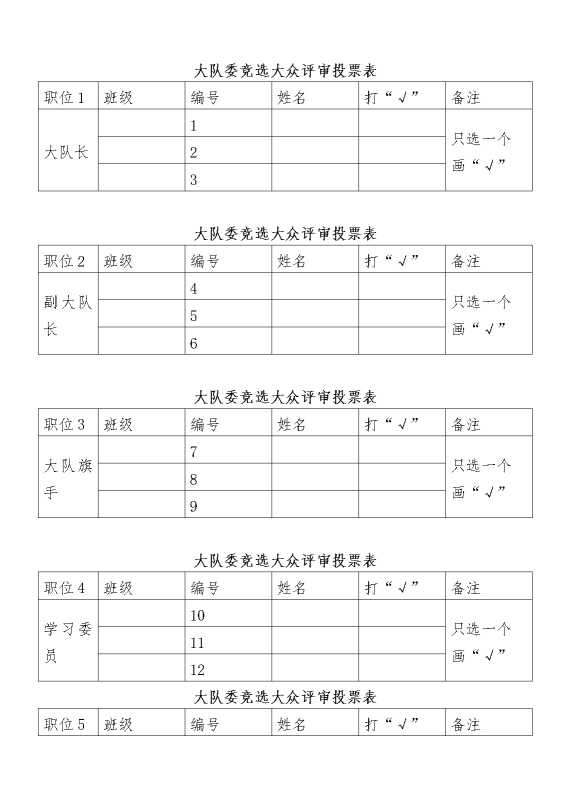 大队委竞选大众评审投票表