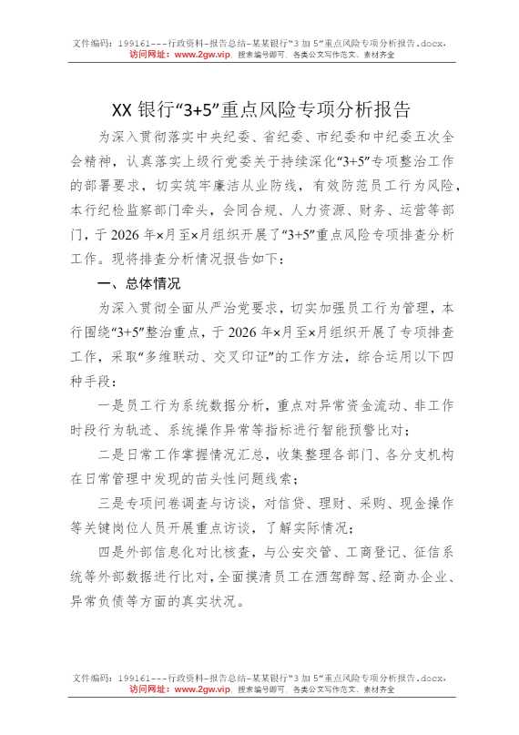 某某银行“3加5”重点风险专项分析报告