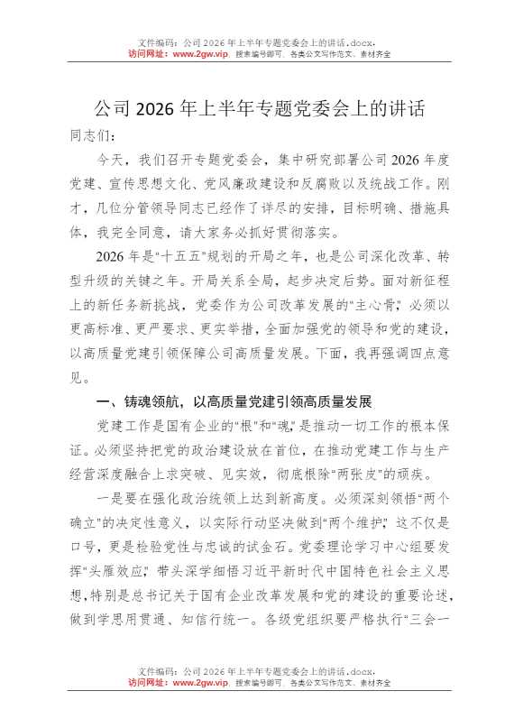 公司2026年上半年专题党委会上的讲话