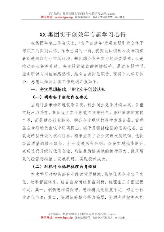 某某集团实干创效年专题学习心得
