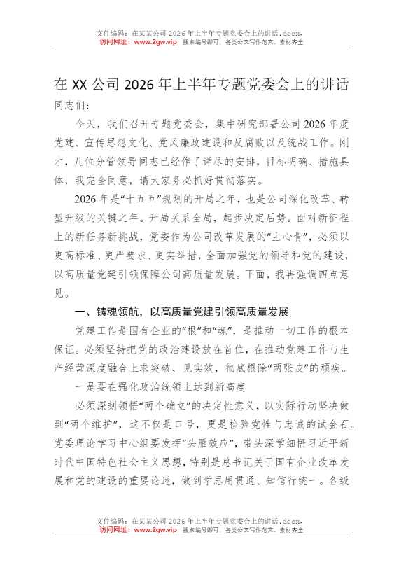 在某某公司2026年上半年专题党委会上的讲话