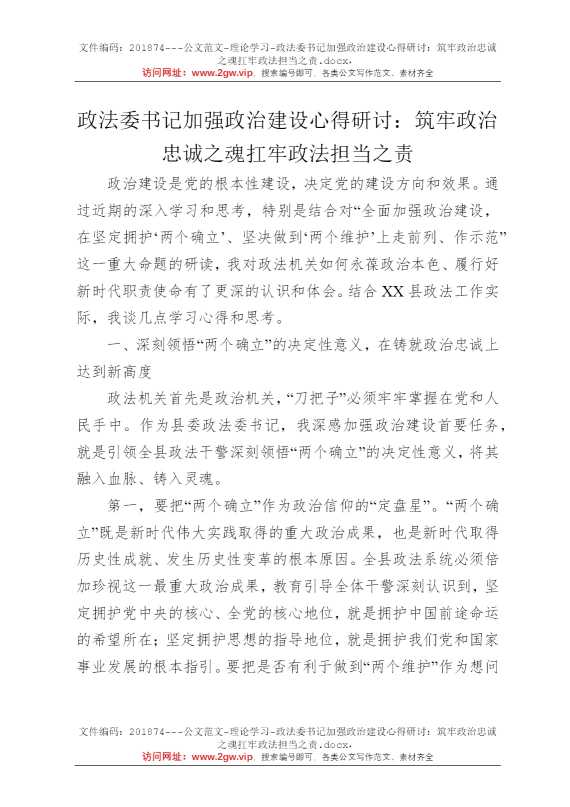 政法委书记加强政治建设心得研讨：筑牢政治忠诚之魂扛牢政法担当之责