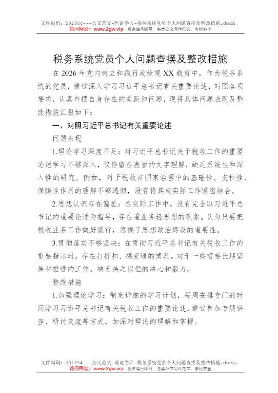 税务系统党员个人问题查摆及整改措施