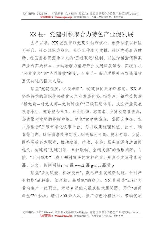 某某县：党建引领聚合力特色产业促发展