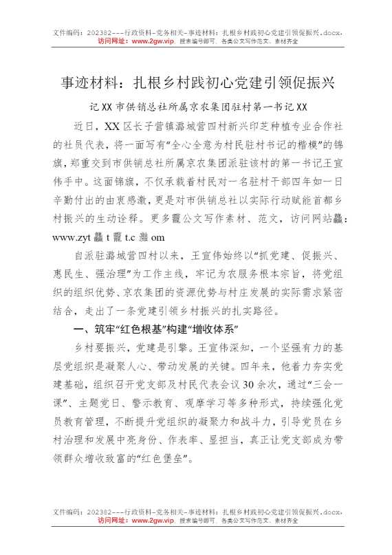 事迹材料：扎根乡村践初心党建引领促振兴