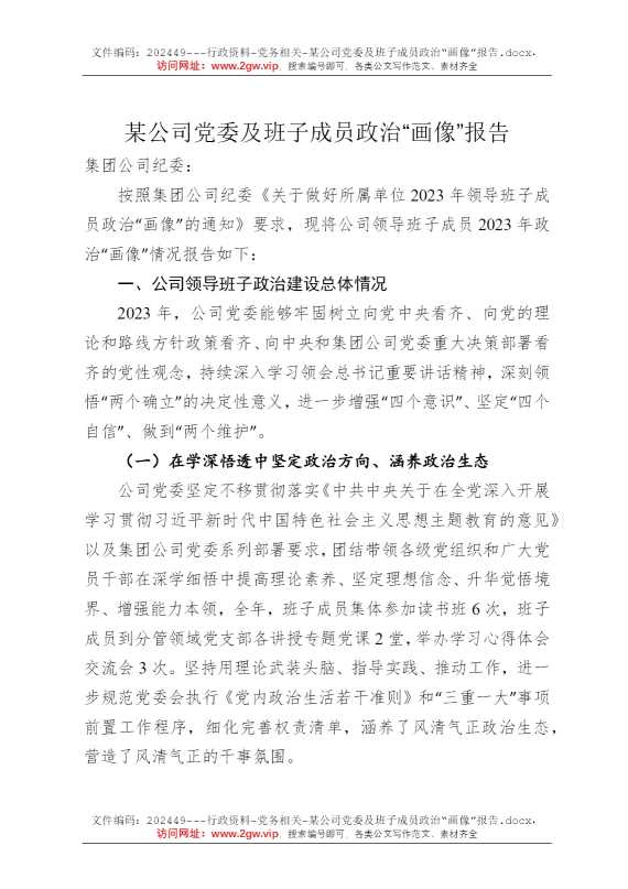 某公司党委及班子成员政治“画像”报告