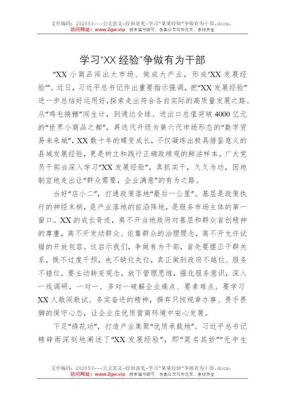 学习“某某经验”争做有为干部