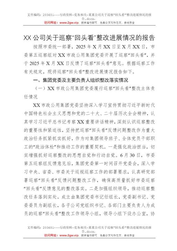 某某公司关于巡察“回头看”整改进展情况的报告