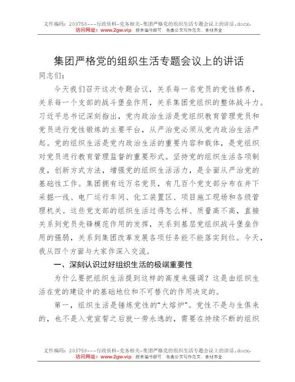 集团严格党的组织生活专题会议上的讲话