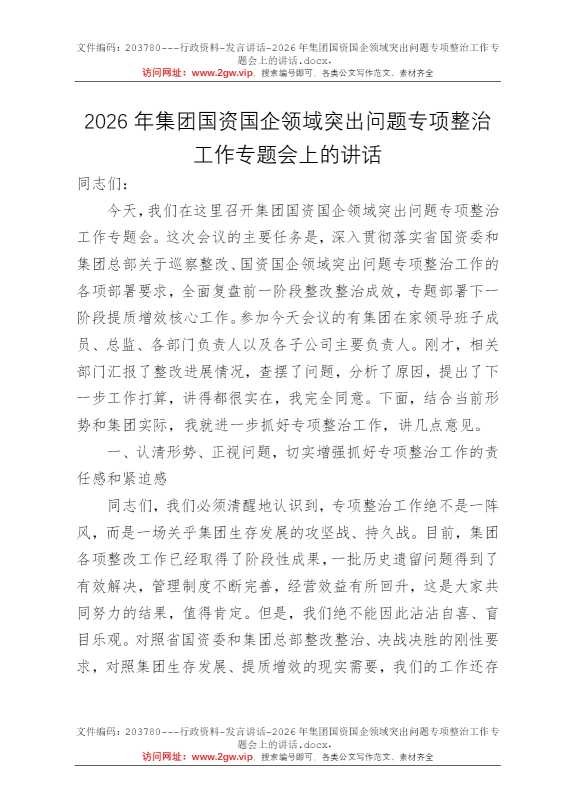 2026年集团国资国企领域突出问题专项整治工作专题会上的讲话