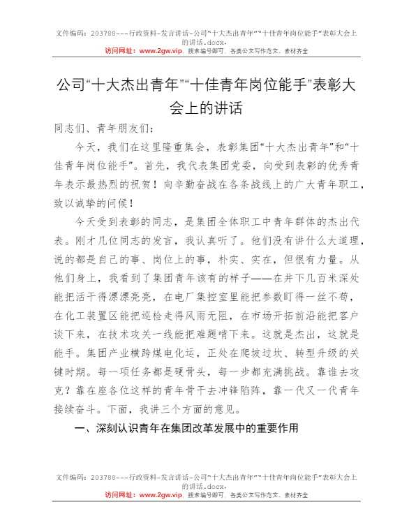 公司“十大杰出青年”“十佳青年岗位能手”表彰大会上的讲话