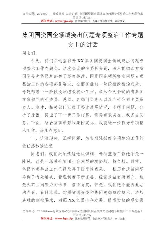 集团国资国企领域突出问题专项整治工作专题会上的讲话